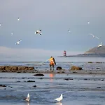 Renove, Campagne Au Calme A 2,4km De La Mer, Kids Friendly Semesterbostad *