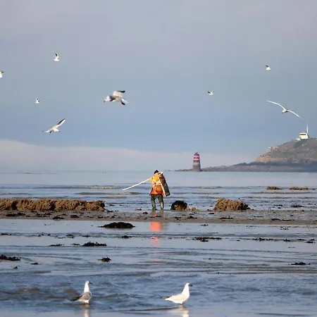 Maison Au Calme A 2,4km De La Mer, Kids Friendly 別荘 *